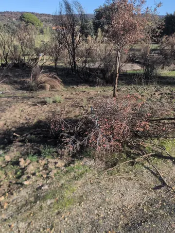 Foto de la zona, 31/10/2026